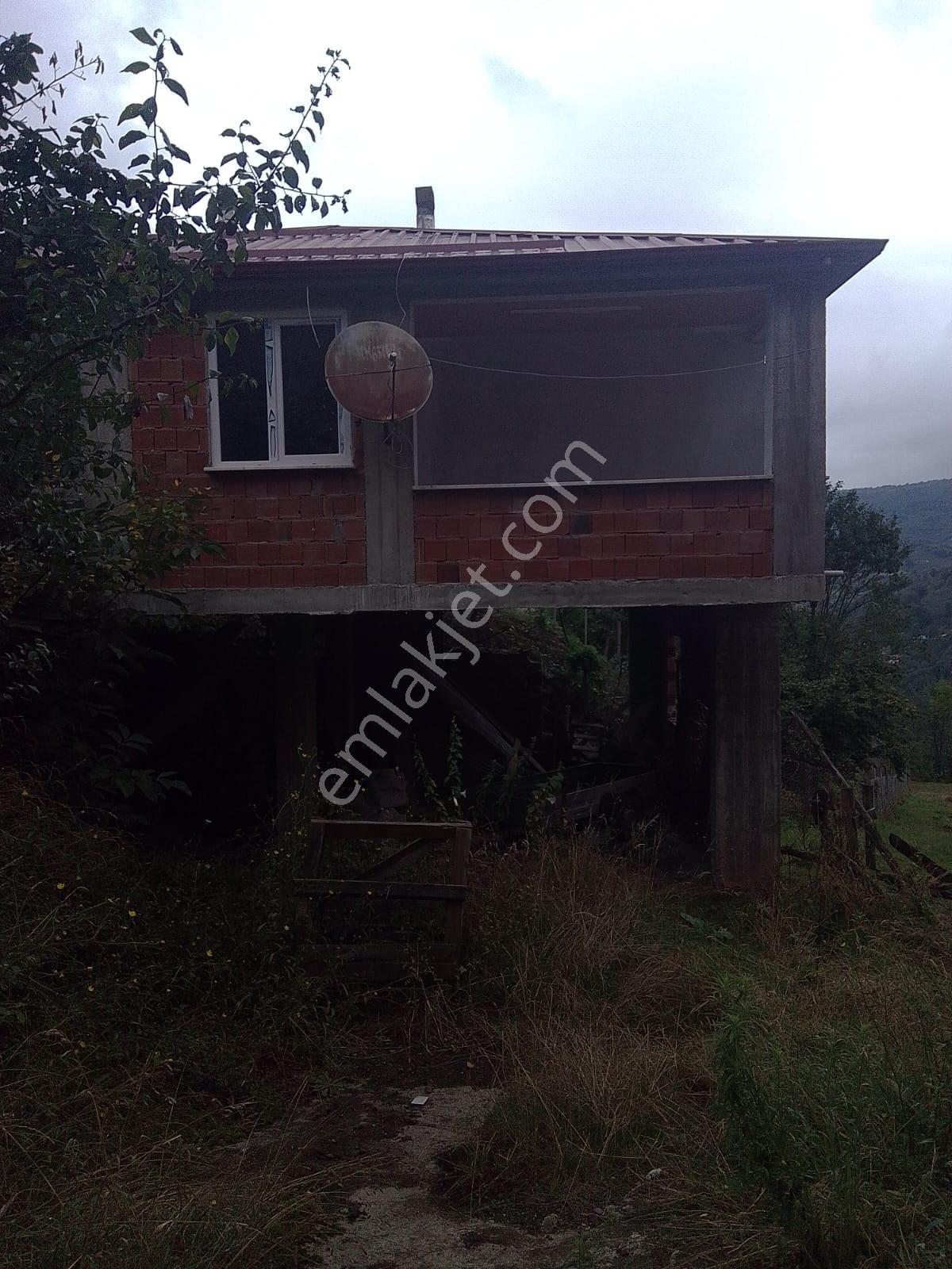 Gölköy Süleymaniye'de Satılık Bağ & Bahçeler — fotoğraf 5