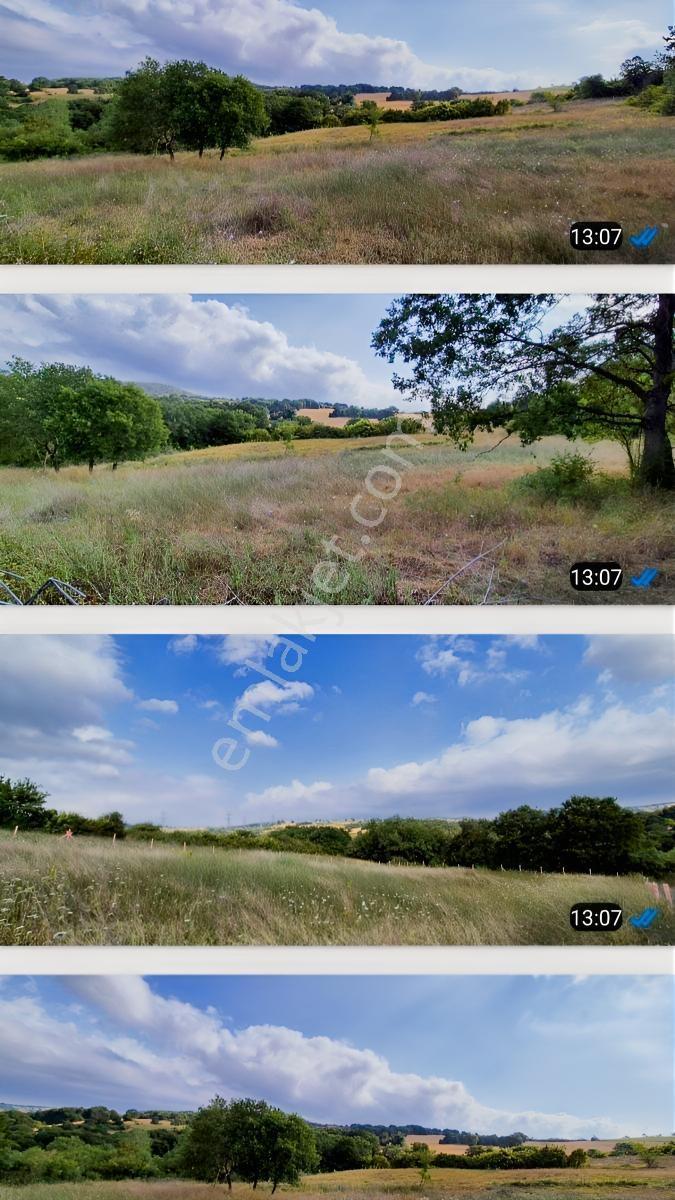 Yalova Çiftlikköy İlyas Köyde 2682 M2 Satılık Arsa — fotoğraf 4