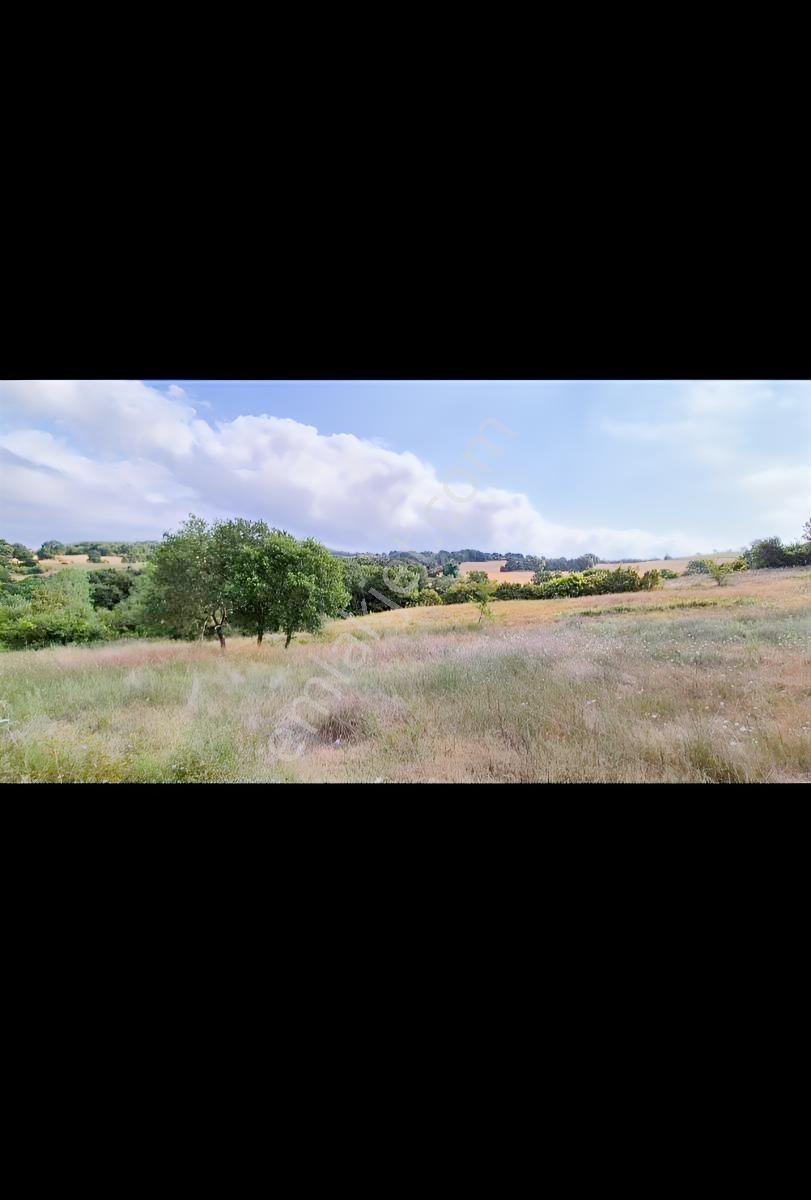 Yalova Çiftlikköy İlyas Köyde 2682 M2 Satılık Arsa — fotoğraf 5