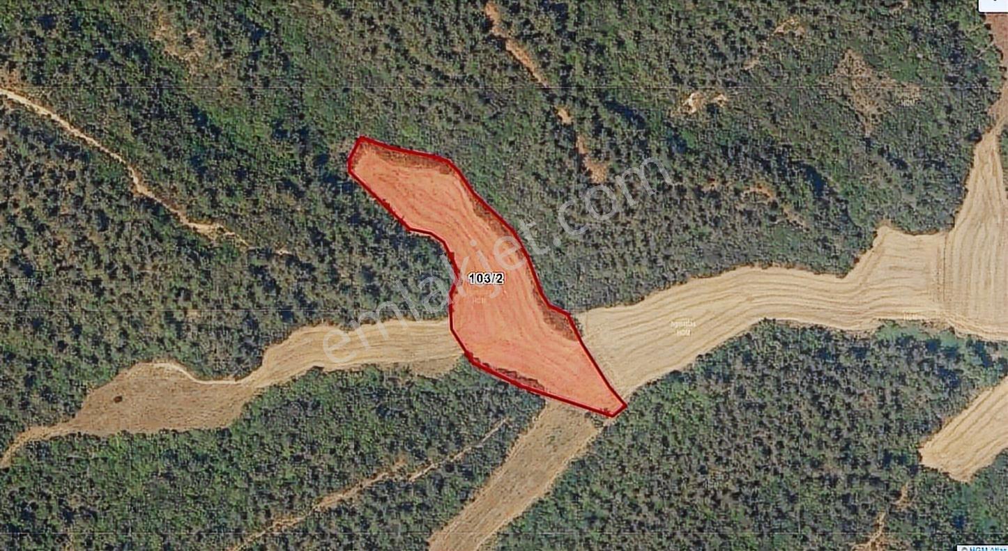 Çanakkale Ilgardere Yatırımlık Ve Verimli 6.851 M2 Satılık Tarla