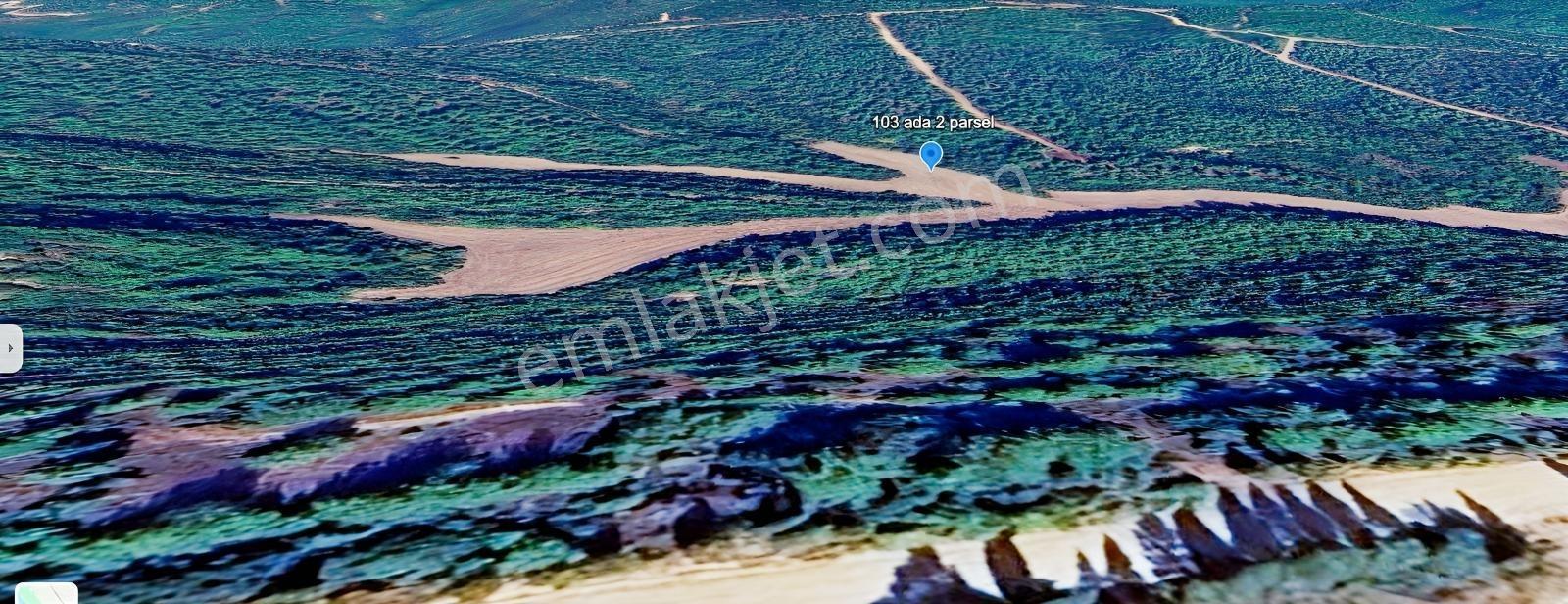 Çanakkale Ilgardere Yatırımlık Ve Verimli 6.851 M2 Satılık Tarla — fotoğraf 5