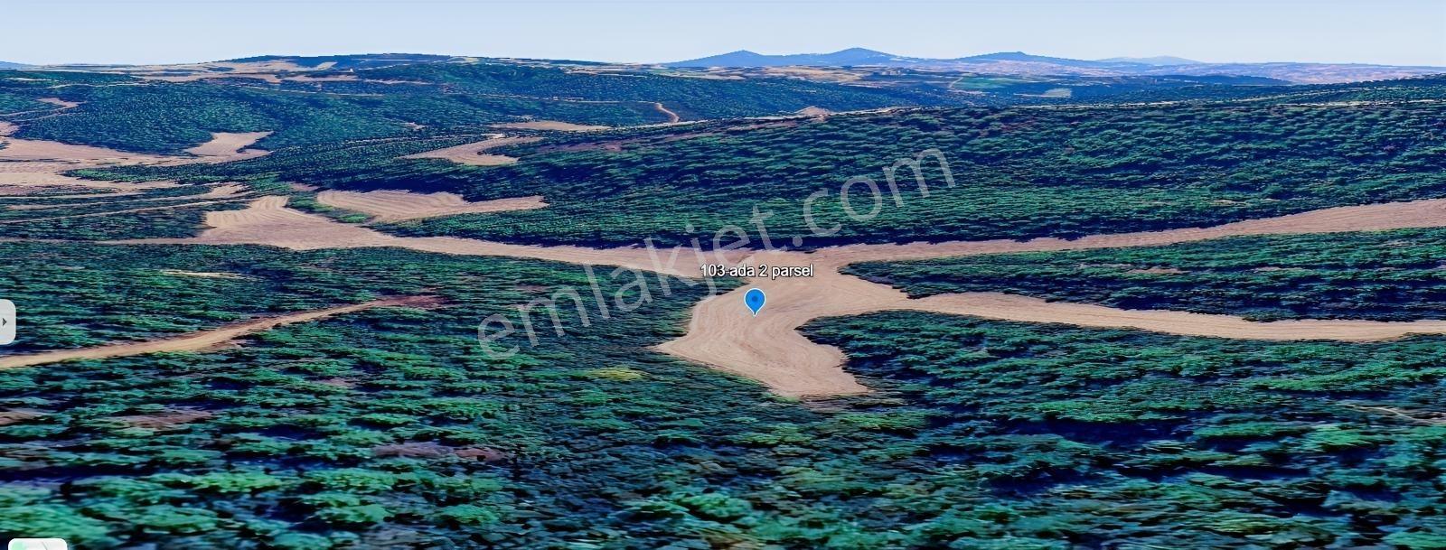 Çanakkale Ilgardere Yatırımlık Ve Verimli 6.851 M2 Satılık Tarla — fotoğraf 6