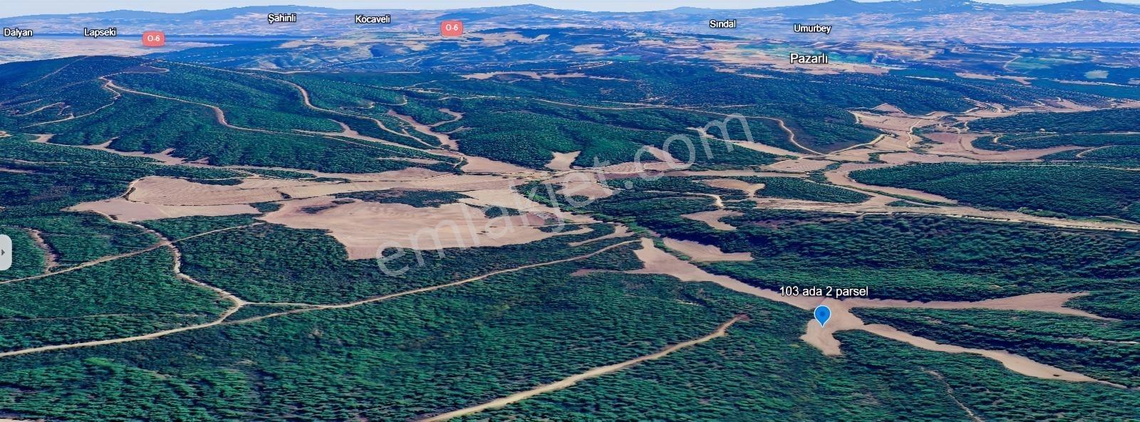 Çanakkale Ilgardere Yatırımlık Ve Verimli 6.851 M2 Satılık Tarla — fotoğraf 8