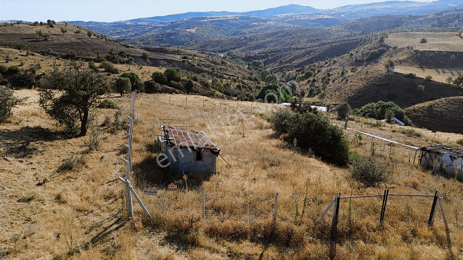 Han'Dan İmarsız Tapulu Büyük Yer Arayanlara 1534 M2 Telli Tarla