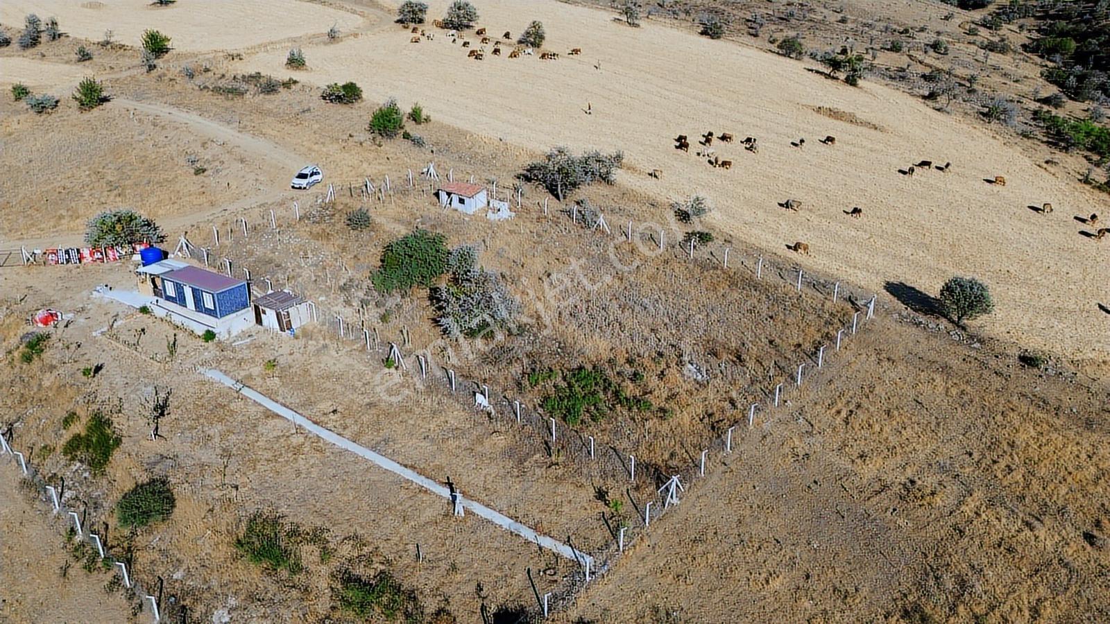 Han'dan İmarsız Tapulu Büyük Yer Arayanlara 1534 M2 Telli Tarla — fotoğraf 6