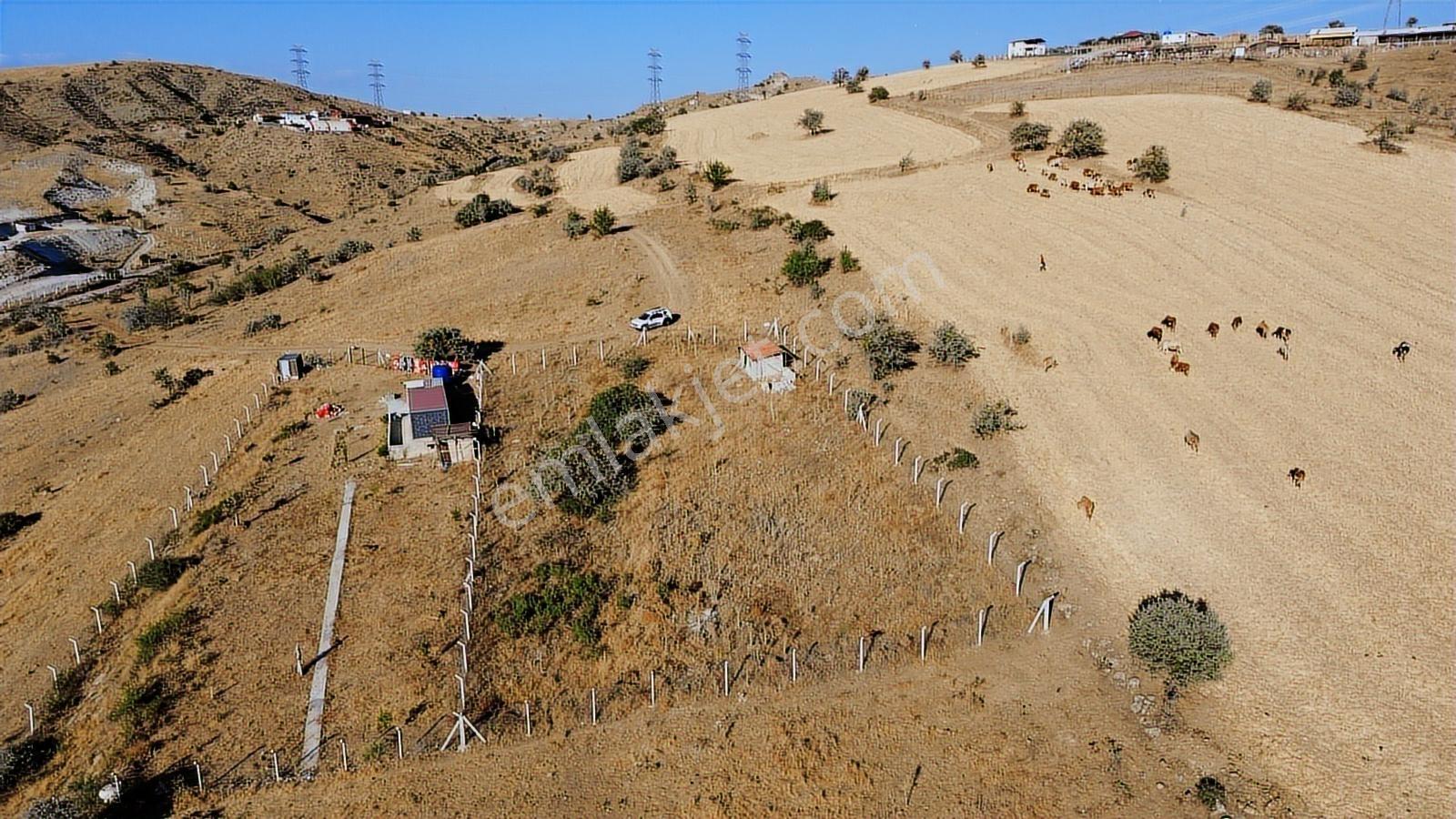 Han'dan İmarsız Tapulu Büyük Yer Arayanlara 1534 M2 Telli Tarla — fotoğraf 7