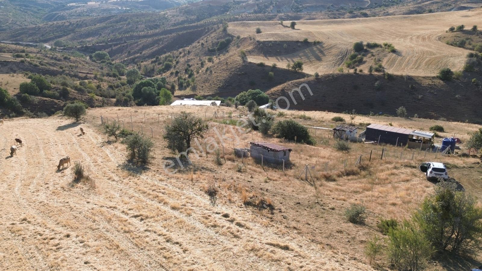 Han'dan İmarsız Tapulu Büyük Yer Arayanlara 1534 M2 Telli Tarla — fotoğraf 8