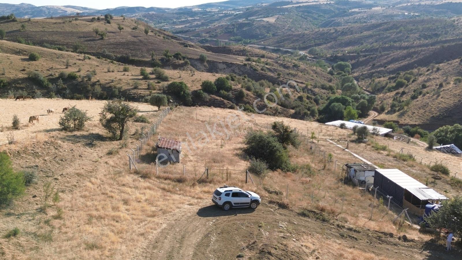 Han'dan İmarsız Tapulu Büyük Yer Arayanlara 1534 M2 Telli Tarla — fotoğraf 9