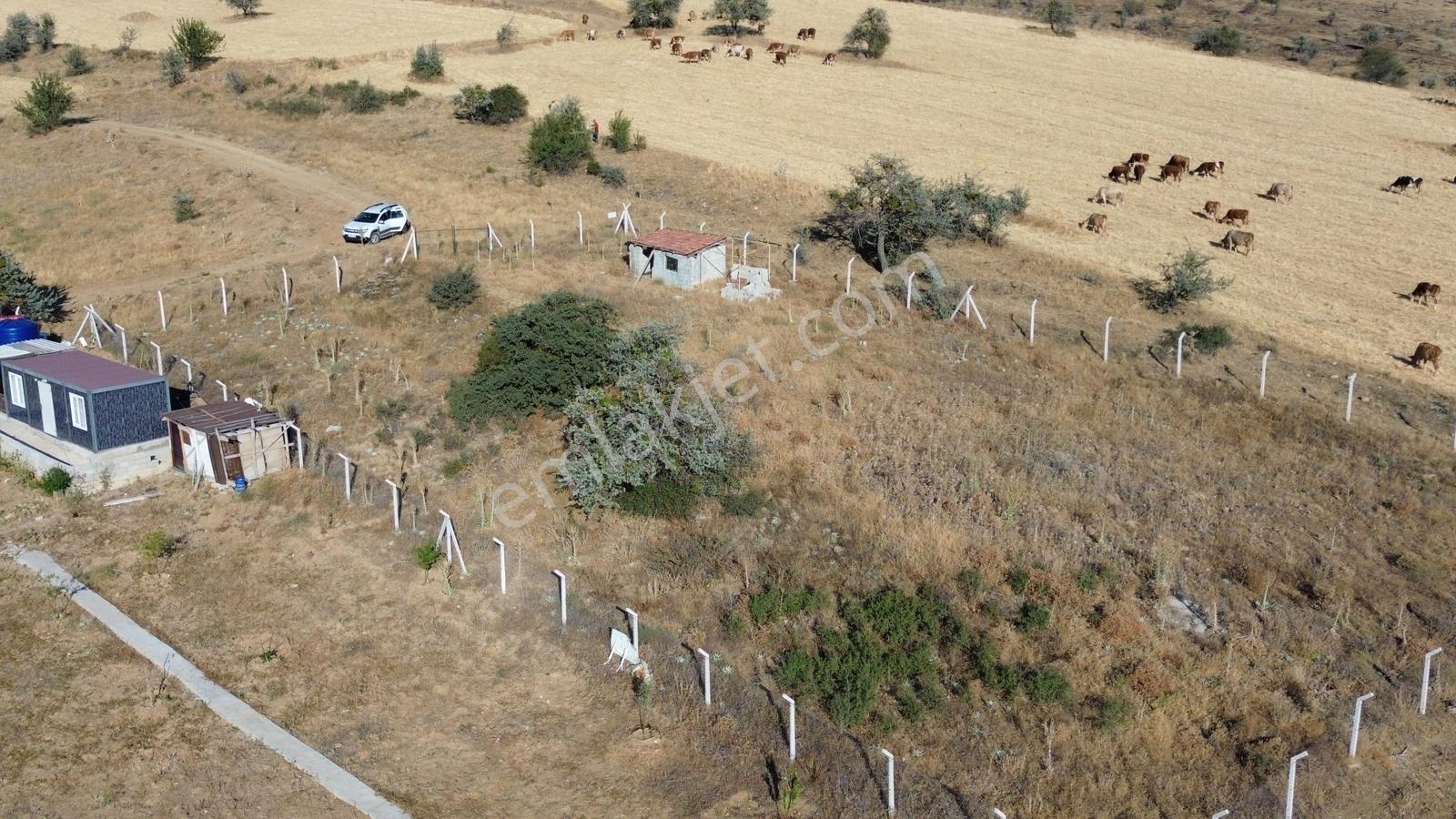 Han'dan İmarsız Tapulu Büyük Yer Arayanlara 1534 M2 Telli Tarla — fotoğraf 10