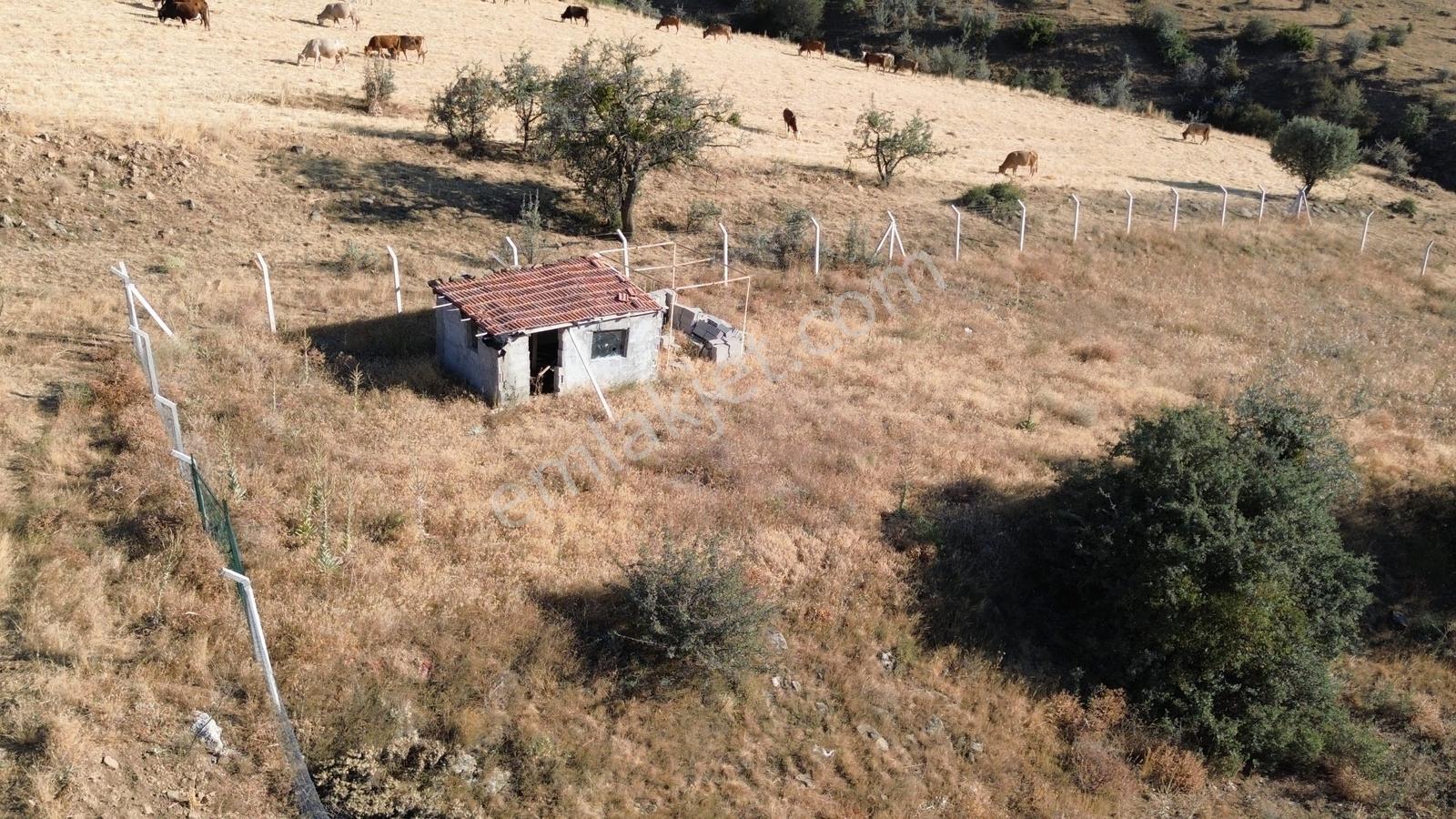 Han'dan İmarsız Tapulu Büyük Yer Arayanlara 1534 M2 Telli Tarla — fotoğraf 13