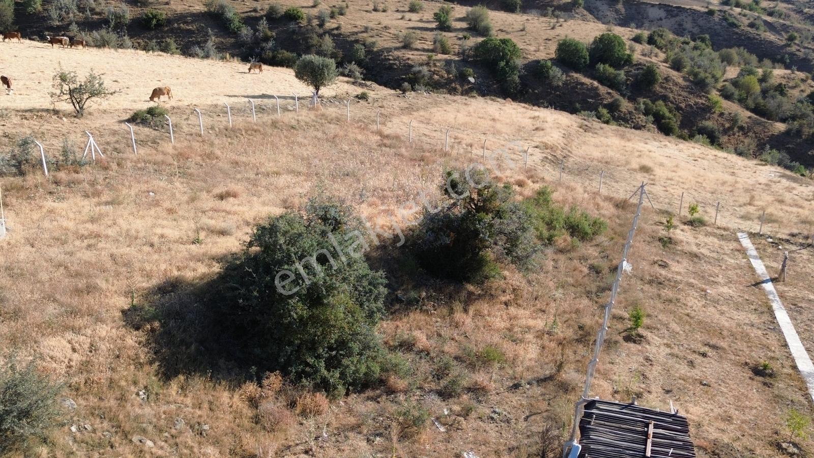 Han'dan İmarsız Tapulu Büyük Yer Arayanlara 1534 M2 Telli Tarla — fotoğraf 14