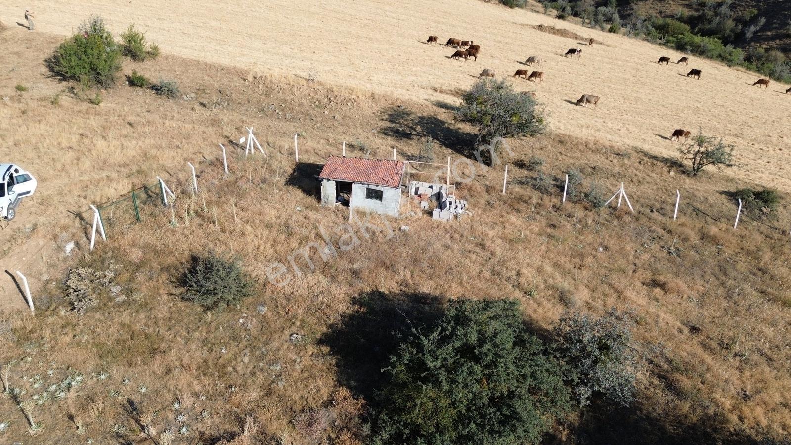 Han'dan İmarsız Tapulu Büyük Yer Arayanlara 1534 M2 Telli Tarla — fotoğraf 15