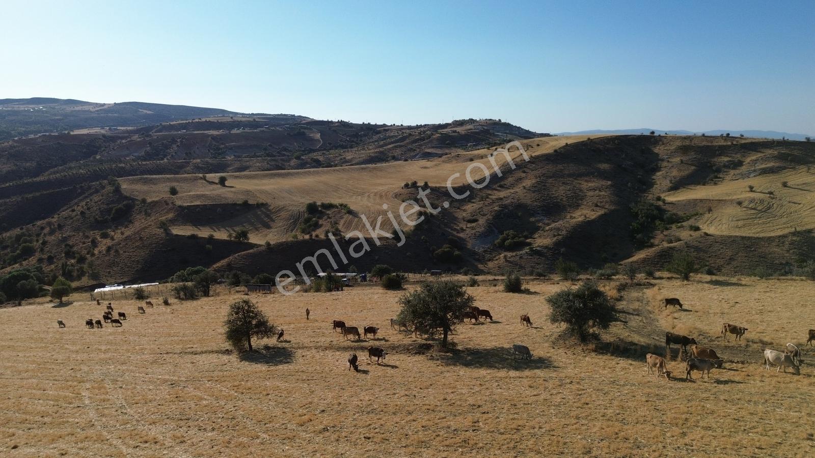 Han'dan İmarsız Tapulu Büyük Yer Arayanlara 1534 M2 Telli Tarla — fotoğraf 18