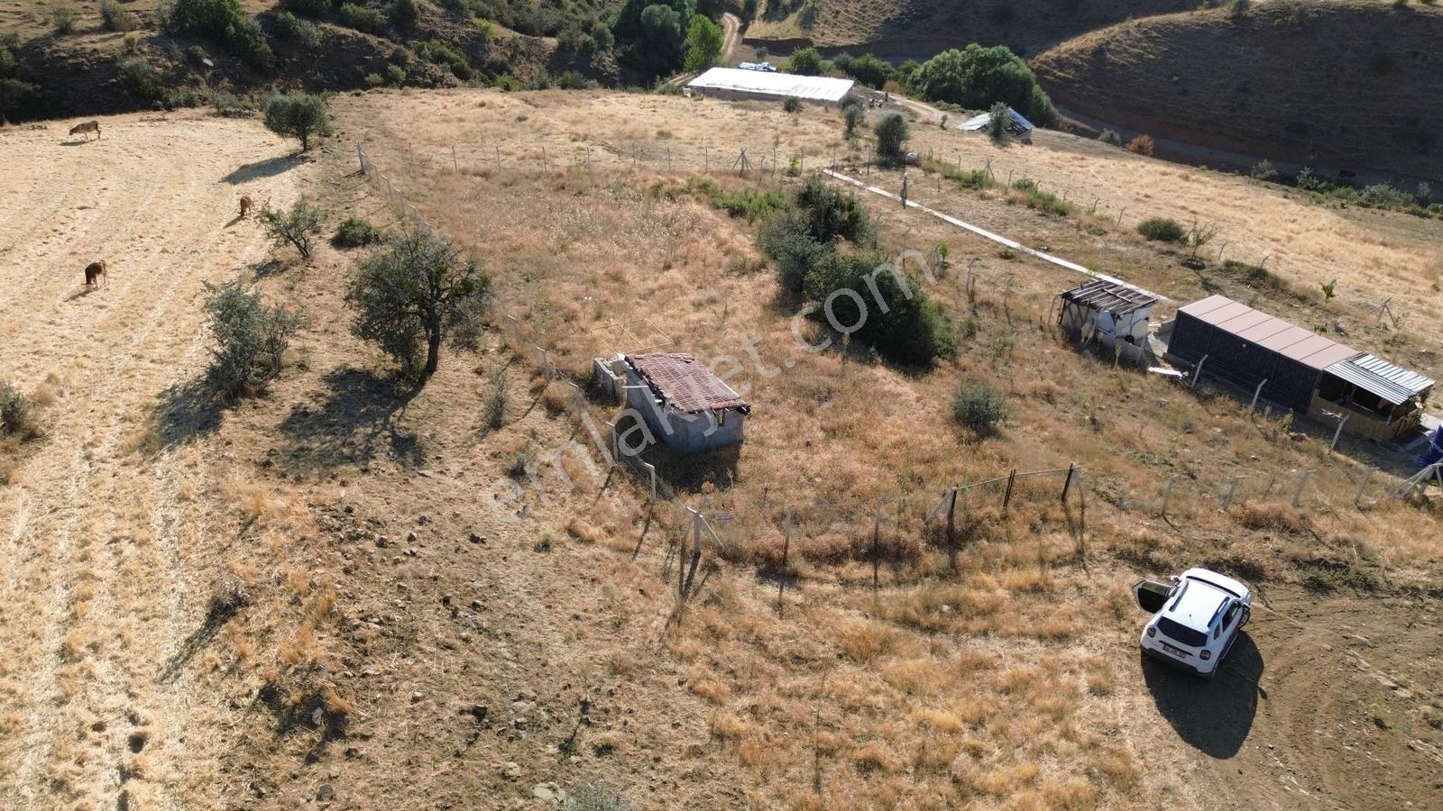 Han'dan İmarsız Tapulu Büyük Yer Arayanlara 1534 M2 Telli Tarla — fotoğraf 19