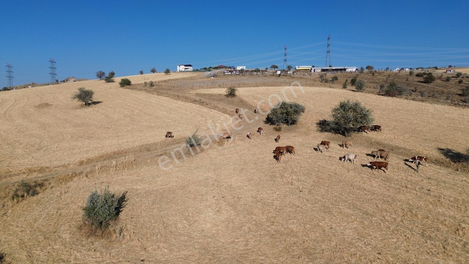 Han'dan İmarsız Tapulu Büyük Yer Arayanlara 1534 M2 Telli Tarla — fotoğraf 21