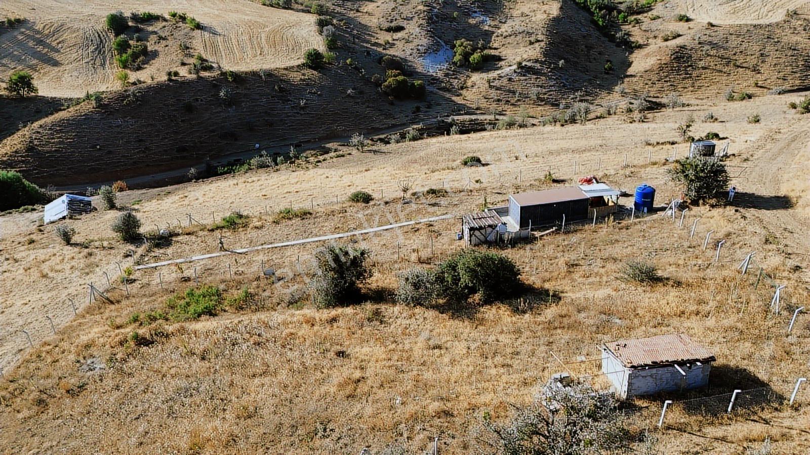 Han'dan İmarsız Tapulu Büyük Yer Arayanlara 1534 M2 Telli Tarla — fotoğraf 22