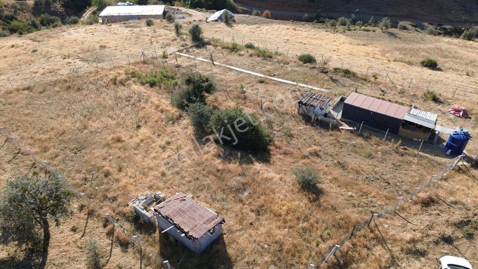 Han'dan İmarsız Tapulu Büyük Yer Arayanlara 1534 M2 Telli Tarla — fotoğraf 24