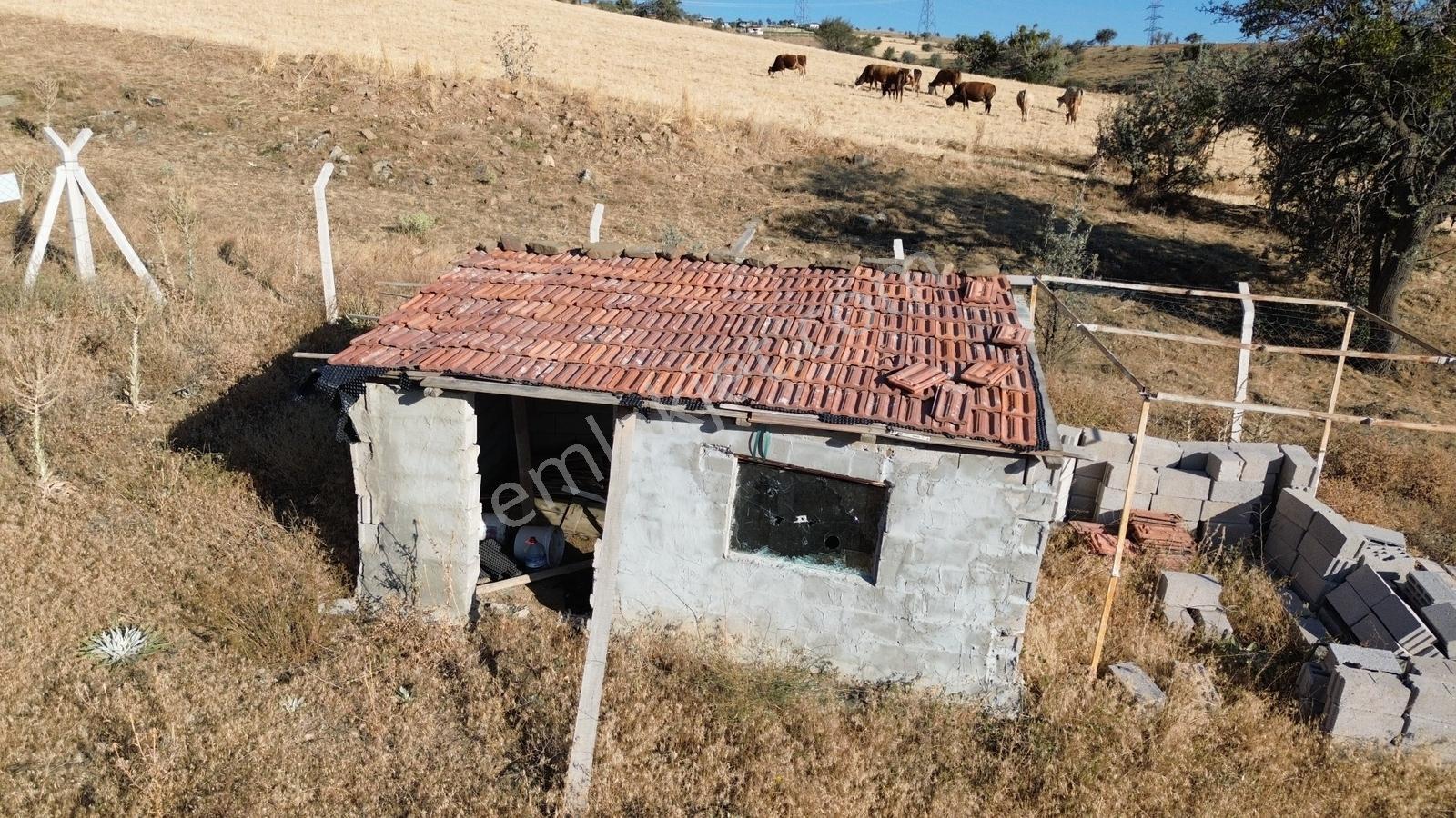 Han'dan İmarsız Tapulu Büyük Yer Arayanlara 1534 M2 Telli Tarla — fotoğraf 25