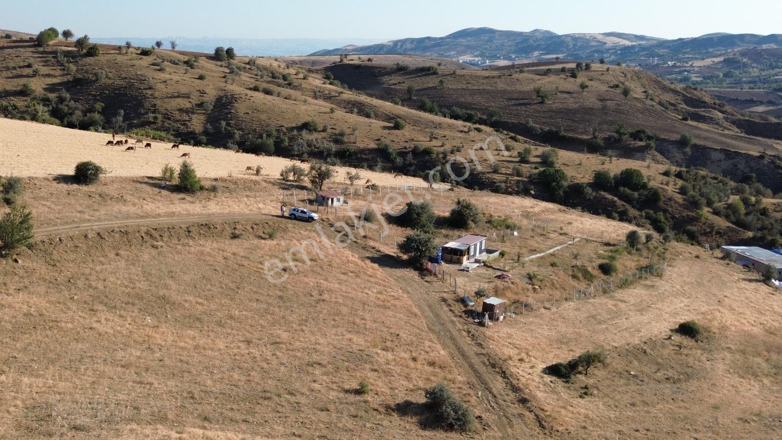 Han'dan İmarsız Tapulu Büyük Yer Arayanlara 1534 M2 Telli Tarla — fotoğraf 31