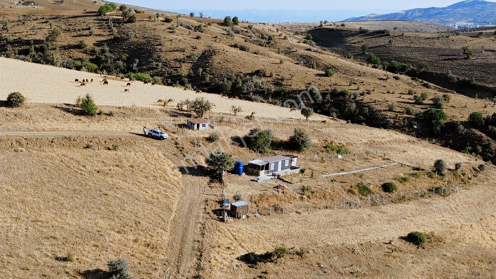 Han'dan İmarsız Tapulu Büyük Yer Arayanlara 1534 M2 Telli Tarla — fotoğraf 32