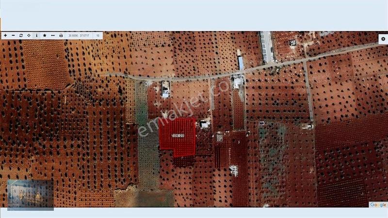 Liva Gayrimenkul'den Bağ Evlik Veya Yatırımlık Fırsat Arazi