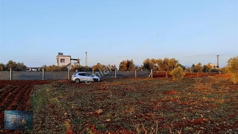 Liva Gayrimenkul'den Bağ Evlik Veya Yatırımlık Fırsat Arazi — fotoğraf 3