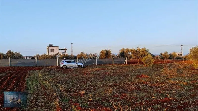 Liva Gayrimenkul'den Bağ Evlik Veya Yatırımlık Fırsat Arazi — fotoğraf 4