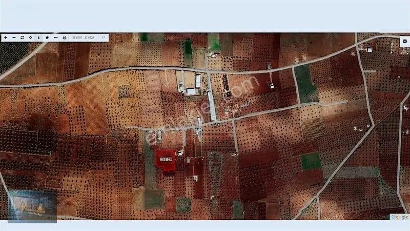 Liva Gayrimenkul'den Bağ Evlik Veya Yatırımlık Fırsat Arazi — fotoğraf 5