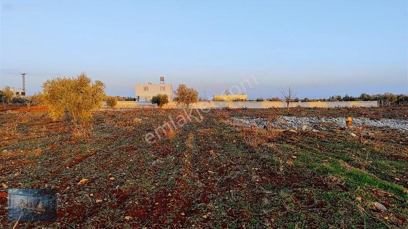 Liva Gayrimenkul'den Bağ Evlik Veya Yatırımlık Fırsat Arazi — fotoğraf 9