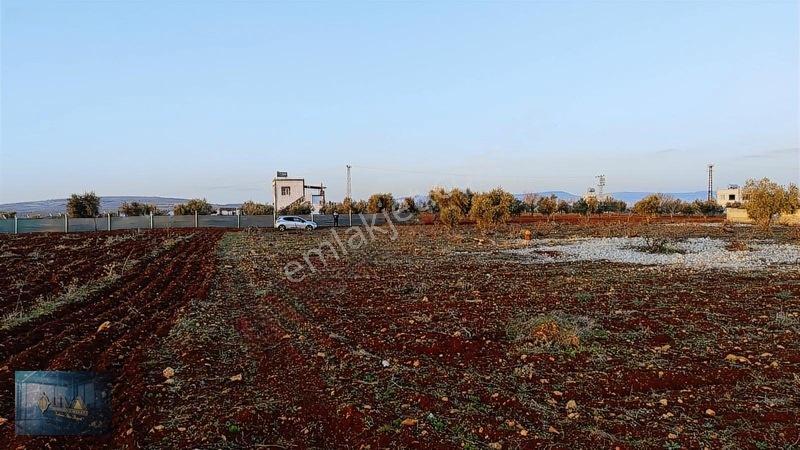 Liva Gayrimenkul'den Bağ Evlik Veya Yatırımlık Fırsat Arazi — fotoğraf 16