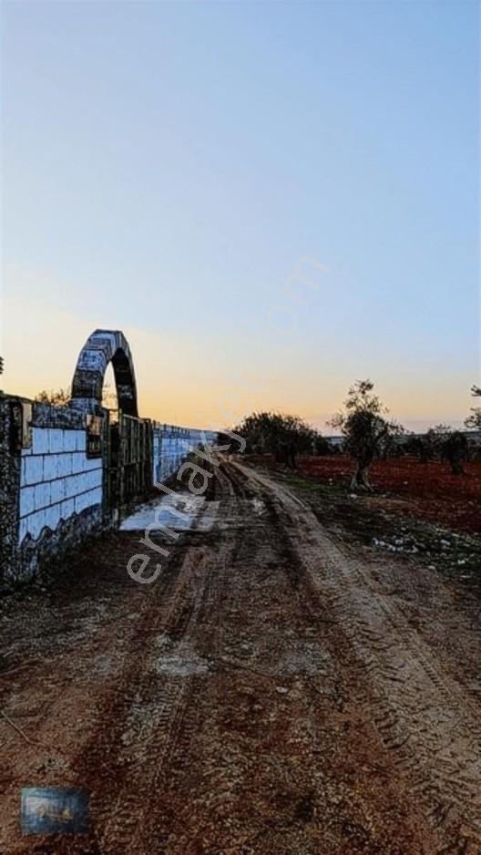 Liva Gayrimenkul'den Bağ Evlik Veya Yatırımlık Fırsat Arazi — fotoğraf 21