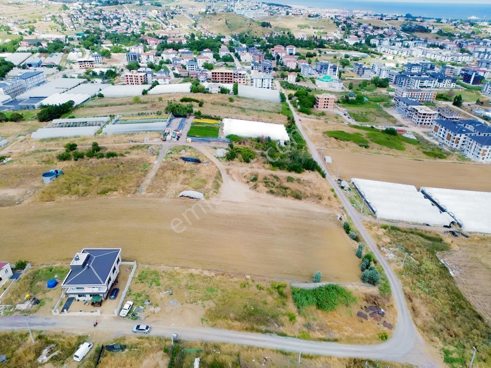 Yalova Çiftlikköy Deniz Manzaralı 324 M2 İmarlı Arsa — fotoğraf 6