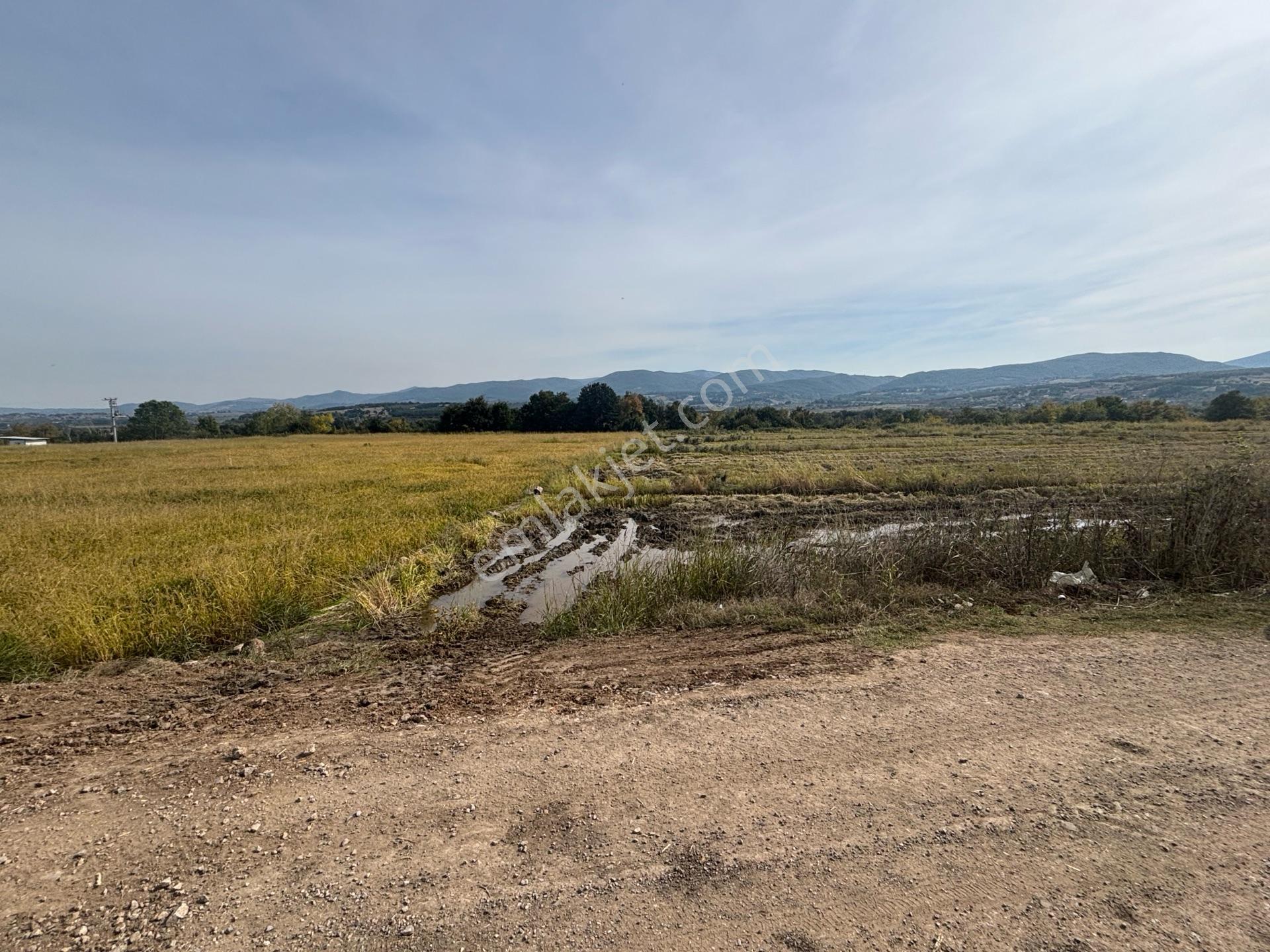 Gönen Muratlar Mahallesinde Satılık 1802 M² Sulu Tarım Arazisi — fotoğraf 15