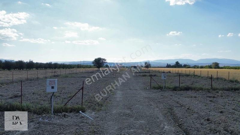Köy İçi Her Parselde Elektrik Suyu Foseptik Çukuru Hazır 350 M2 — fotoğraf 5