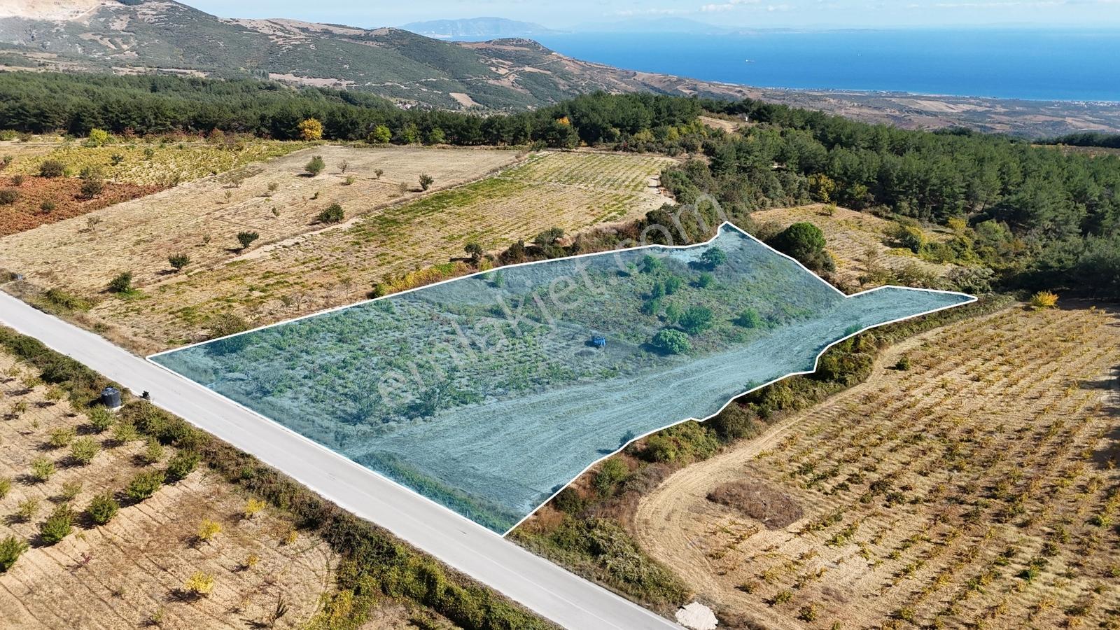 Çengellide 11.060 M² Ana Cadde Cepheli Üzüm Ve Kiraz Bahçesi — fotoğraf 2