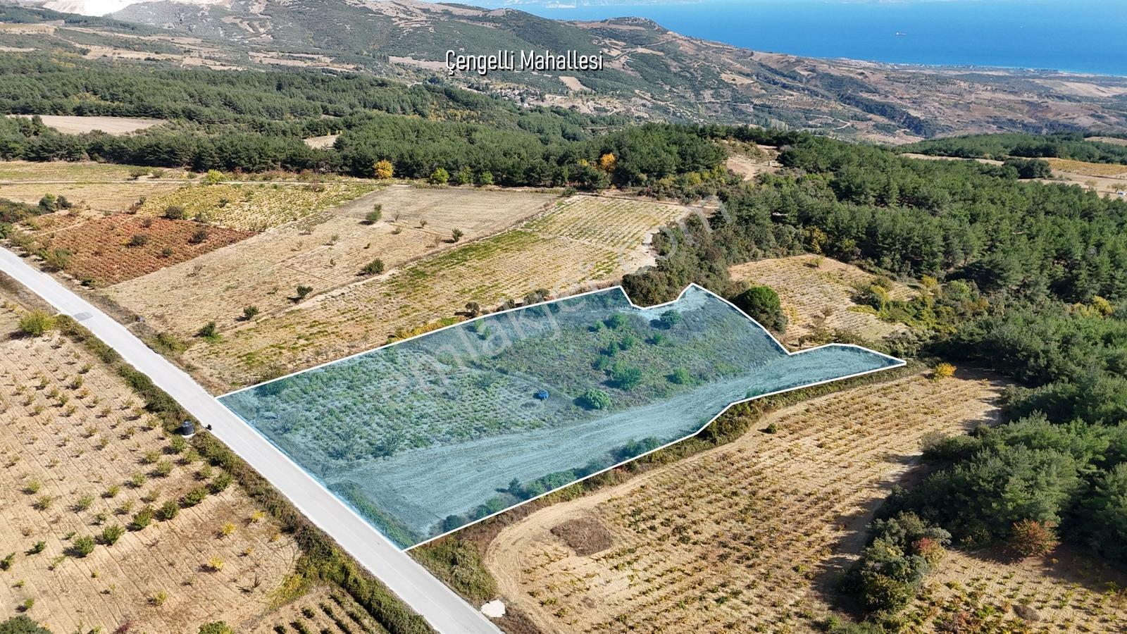 Çengellide 11.060 M² Ana Cadde Cepheli Üzüm Ve Kiraz Bahçesi — fotoğraf 3
