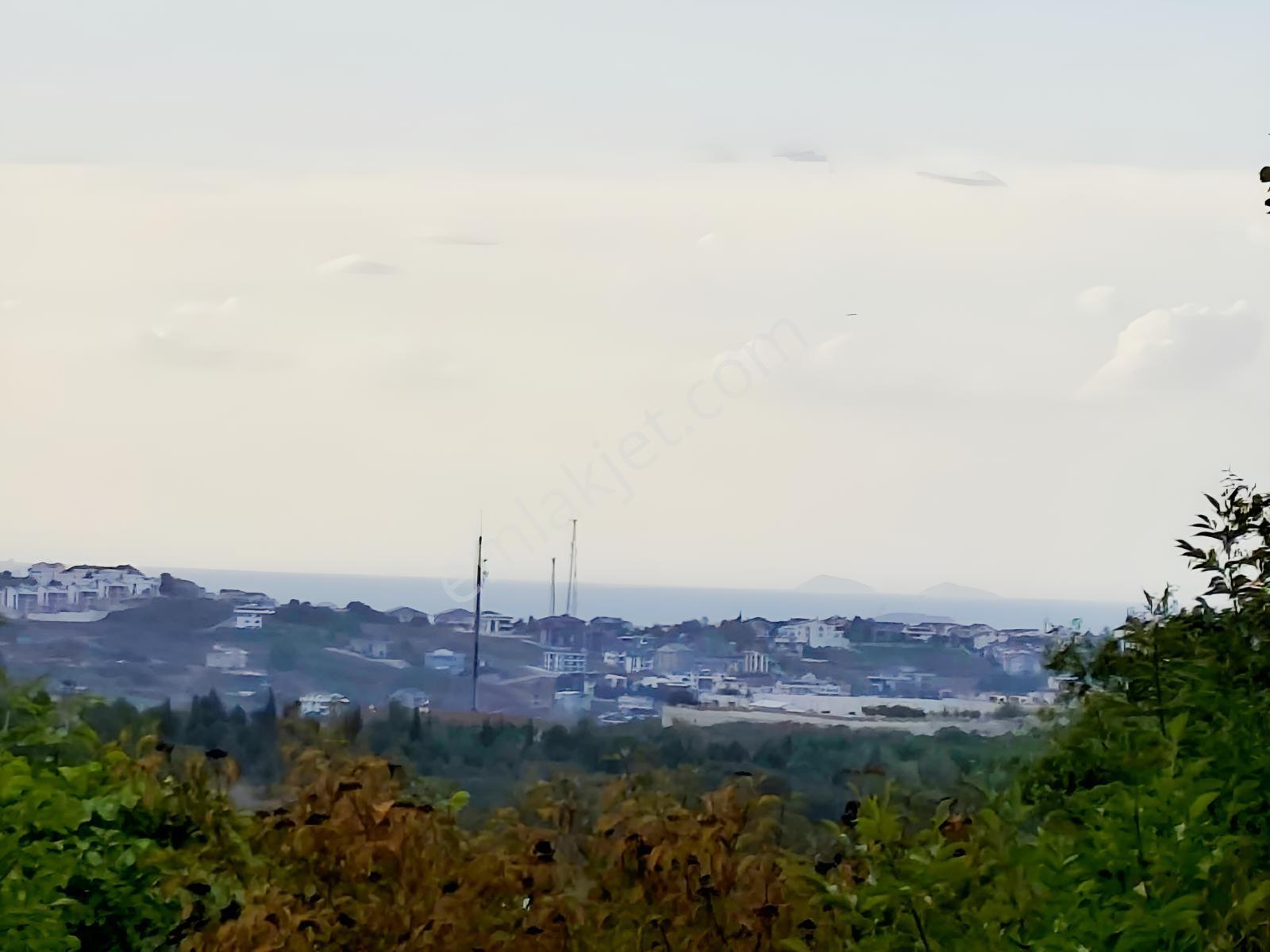 ! Yalova Kirazlıda Doğa İçerisinde 4150 M² Satılık Fırsat Bağ !