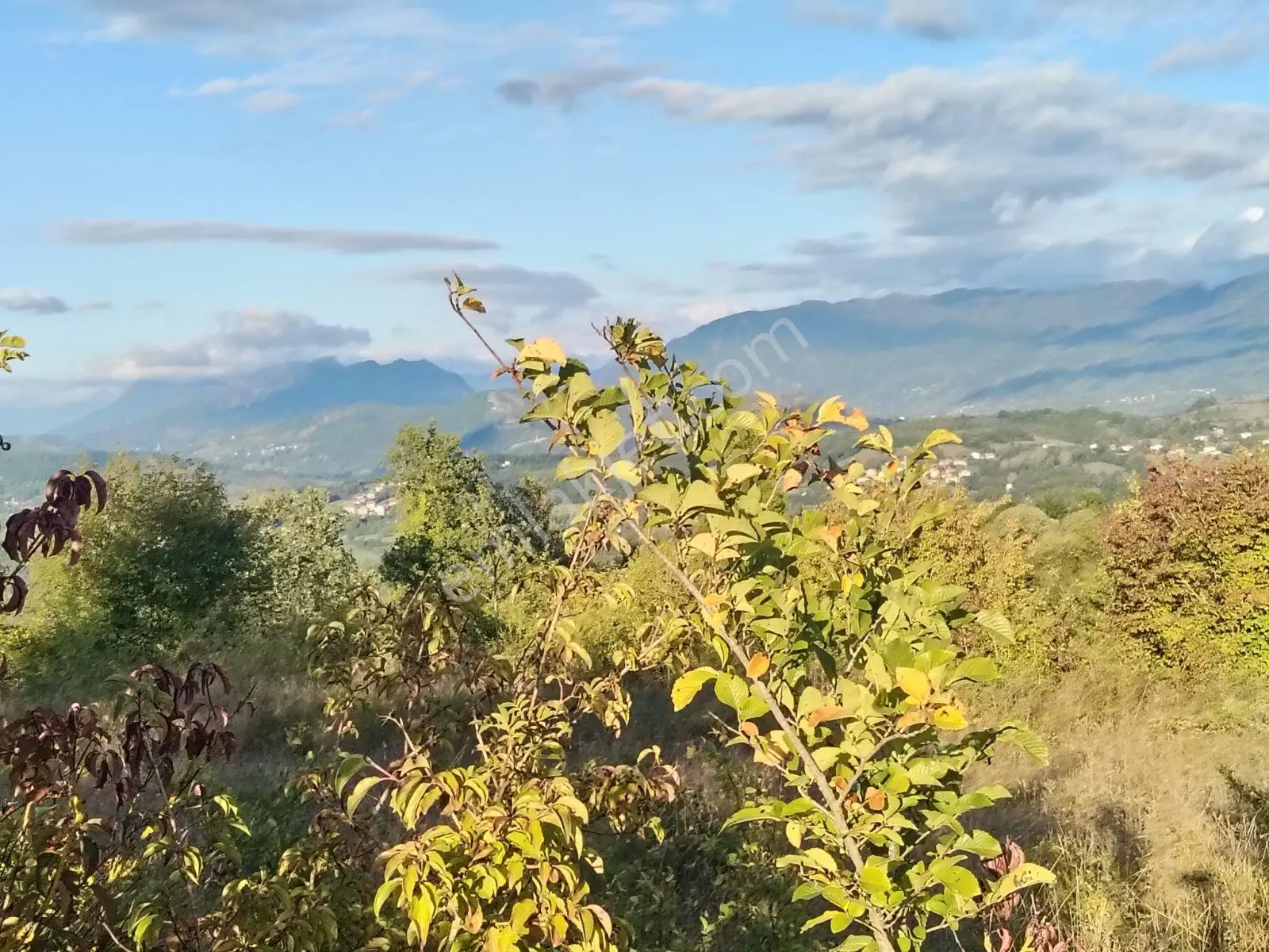 Agdacida Mükemmel Lokasyonda İmarsiz Hisse Satilik Kaçırmayın — fotoğraf 3