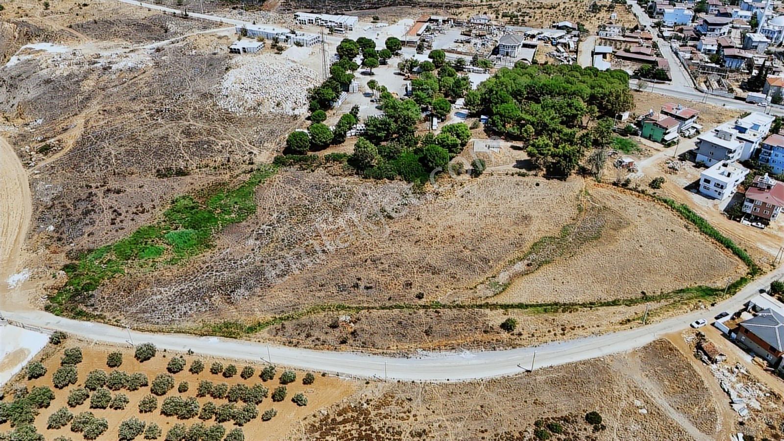 Berk Emlak'tan Yazıbaşında Konut İmarlı 2658 M2 Satılık Arsa — fotoğraf 3