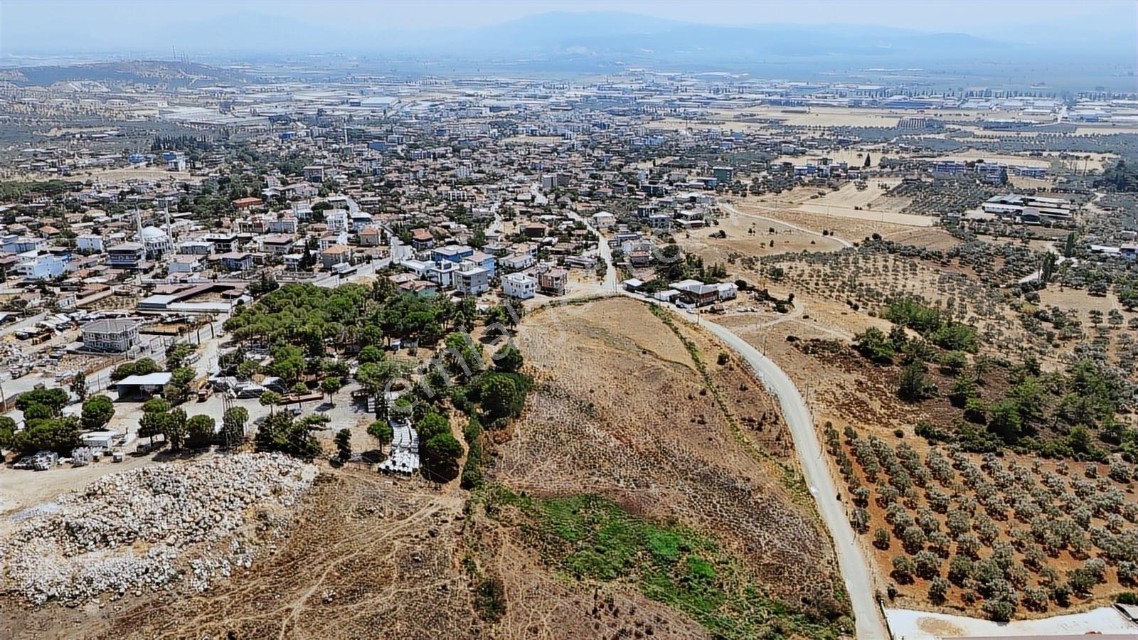 Berk Emlak'tan Yazıbaşında Konut İmarlı 2658 M2 Satılık Arsa — fotoğraf 7