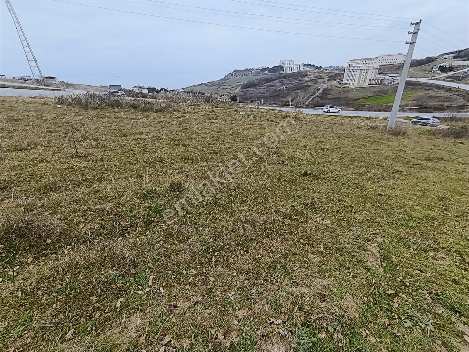 Yalova Termalde Full Deniz Manzaralı Önü Kapanmaz Satılık Arsa — fotoğraf 4