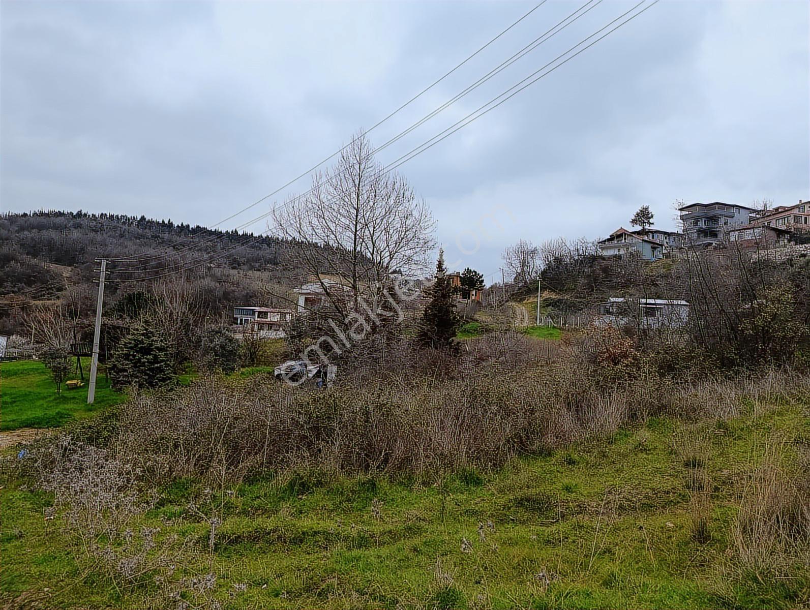Yalova Termalde Full Deniz Manzaralı Önü Kapanmaz Satılık Arsa — fotoğraf 18