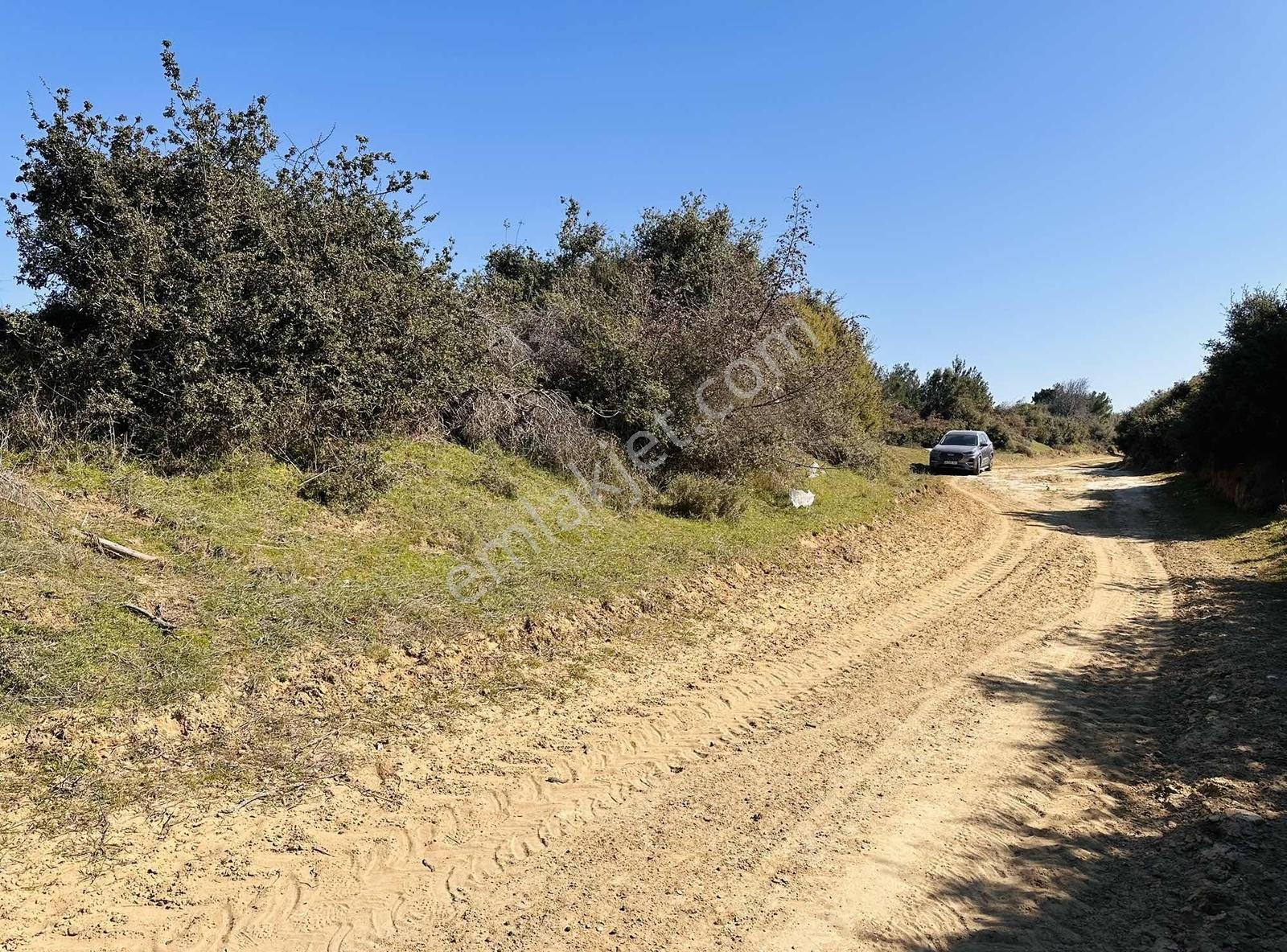 Bayırköyde %5 İmarlı Resmi Yollu Tek Tapu 9952 M2 Satılık Arsa