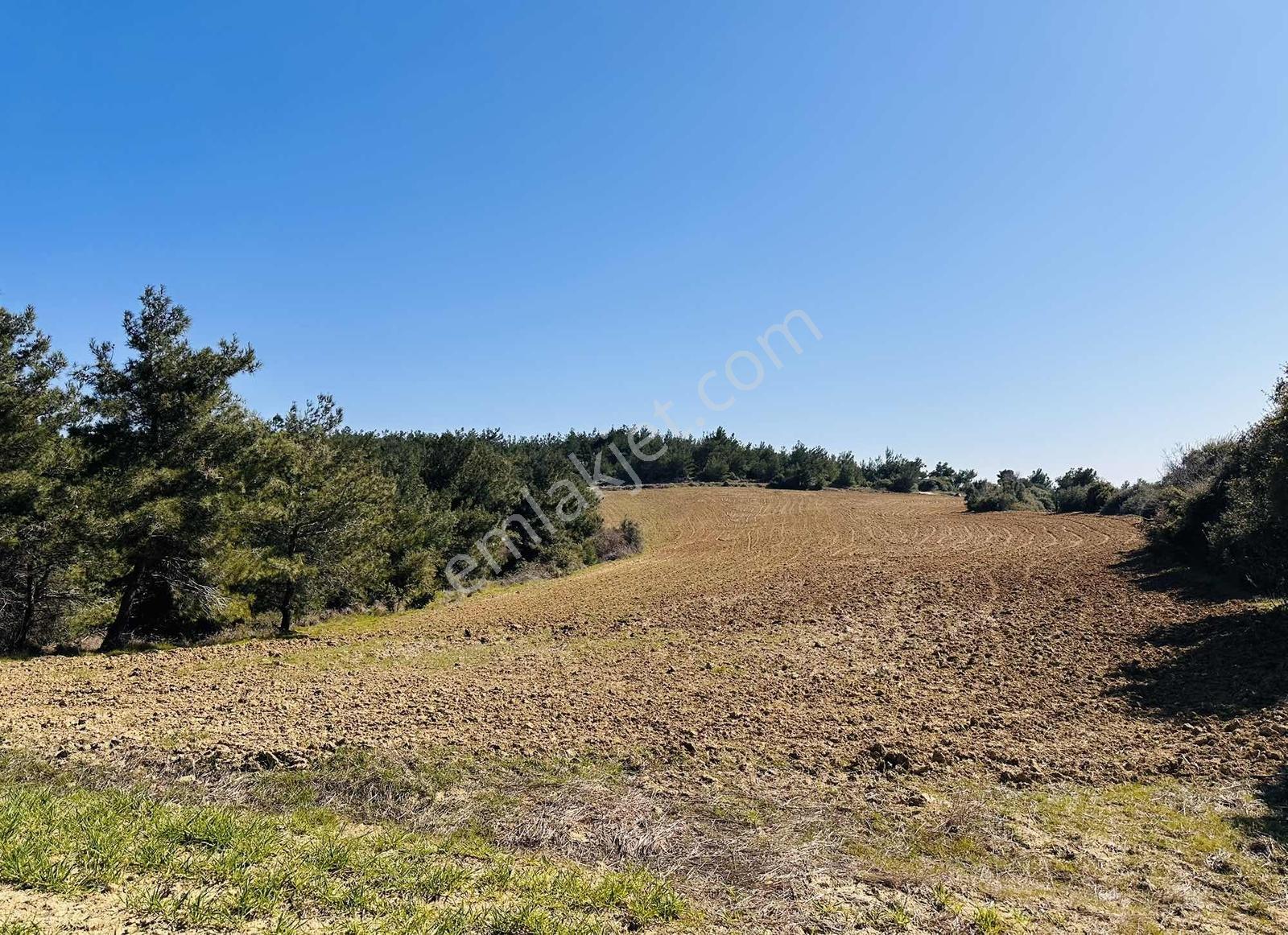 Bayırköyde %5 İmarlı Resmi Yollu Tek Tapu 9952 M2 Satılık Arsa — fotoğraf 3