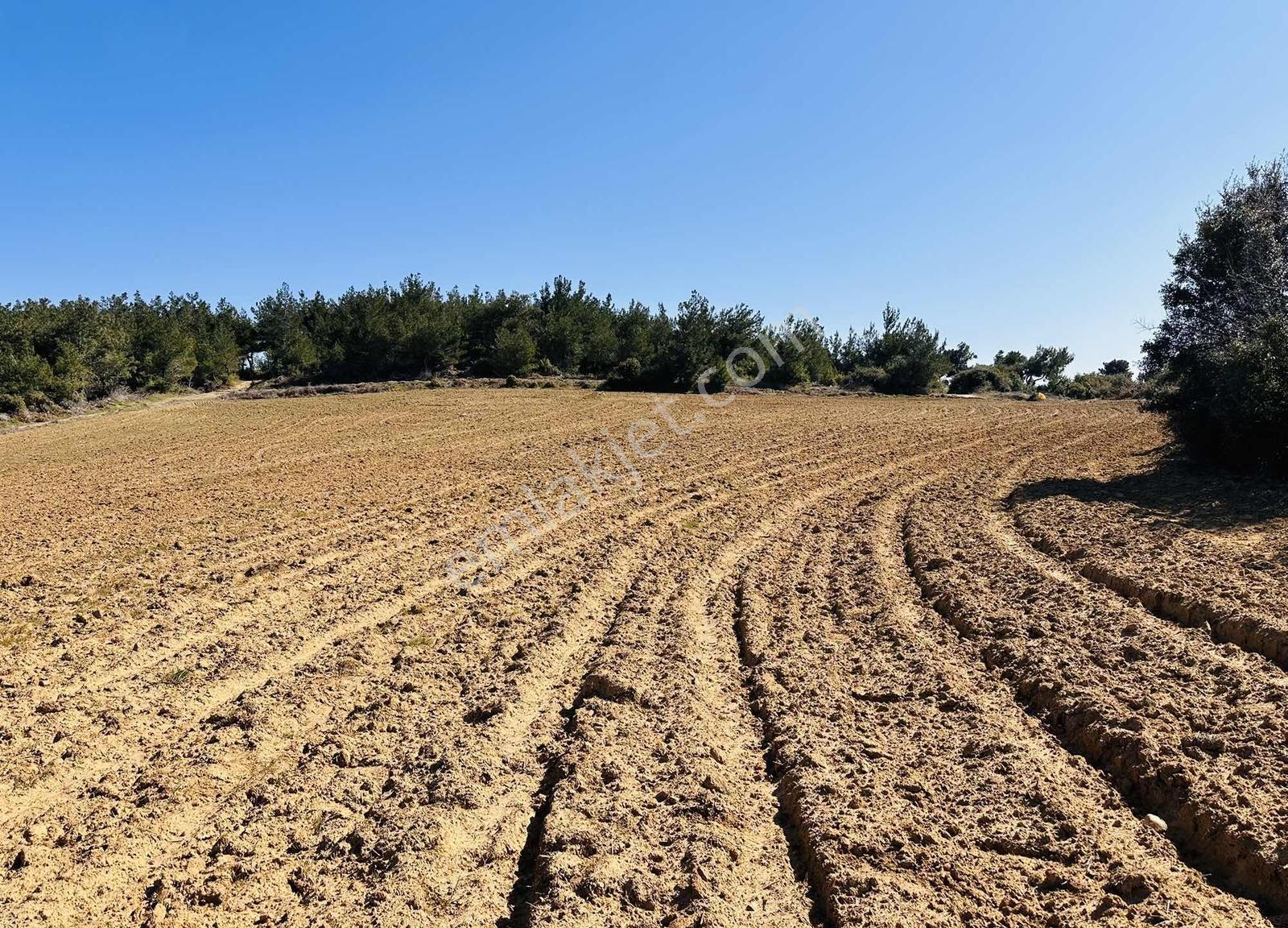 Bayırköyde %5 İmarlı Resmi Yollu Tek Tapu 9952 M2 Satılık Arsa — fotoğraf 7