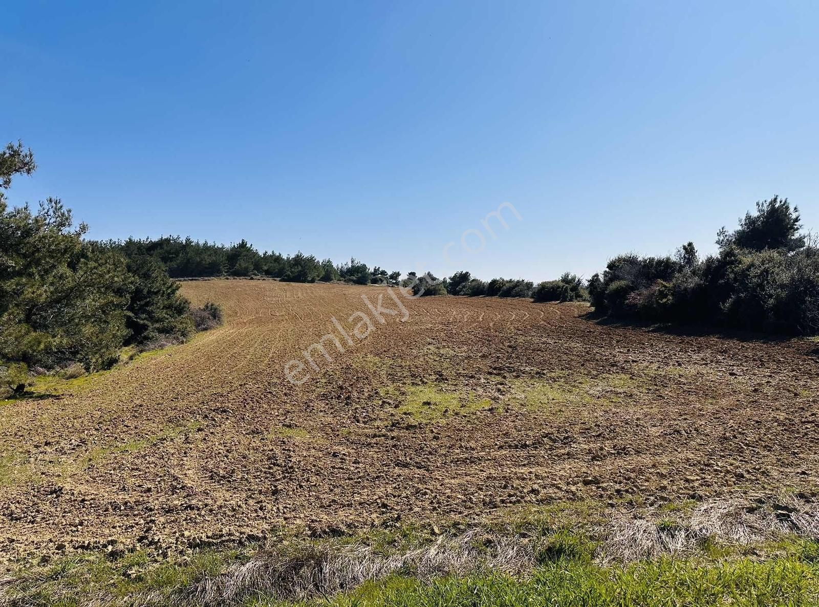 Bayırköyde %5 İmarlı Resmi Yollu Tek Tapu 9952 M2 Satılık Arsa — fotoğraf 8