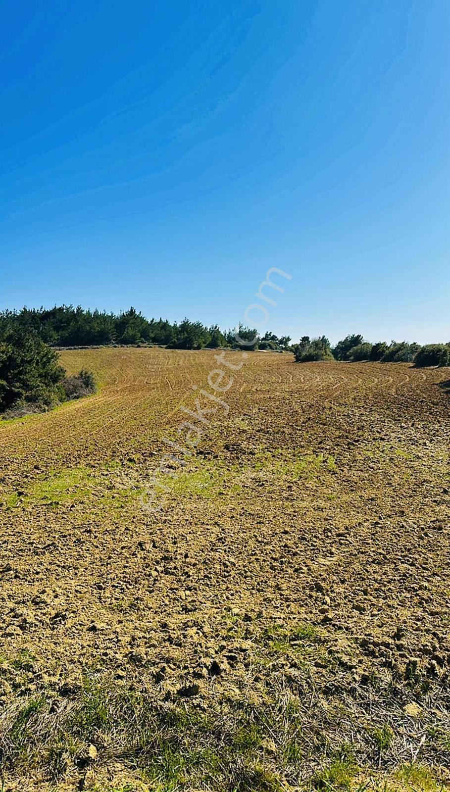 Bayırköyde %5 İmarlı Resmi Yollu Tek Tapu 9952 M2 Satılık Arsa — fotoğraf 9
