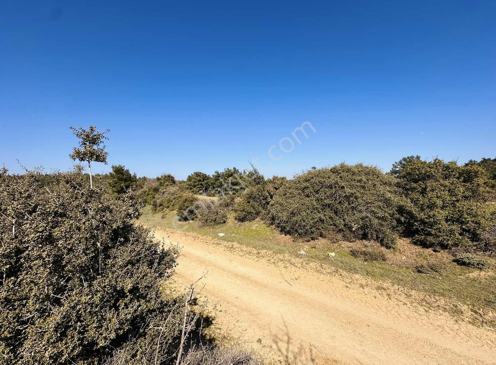 Bayırköyde %5 İmarlı Resmi Yollu Tek Tapu 9952 M2 Satılık Arsa — fotoğraf 12
