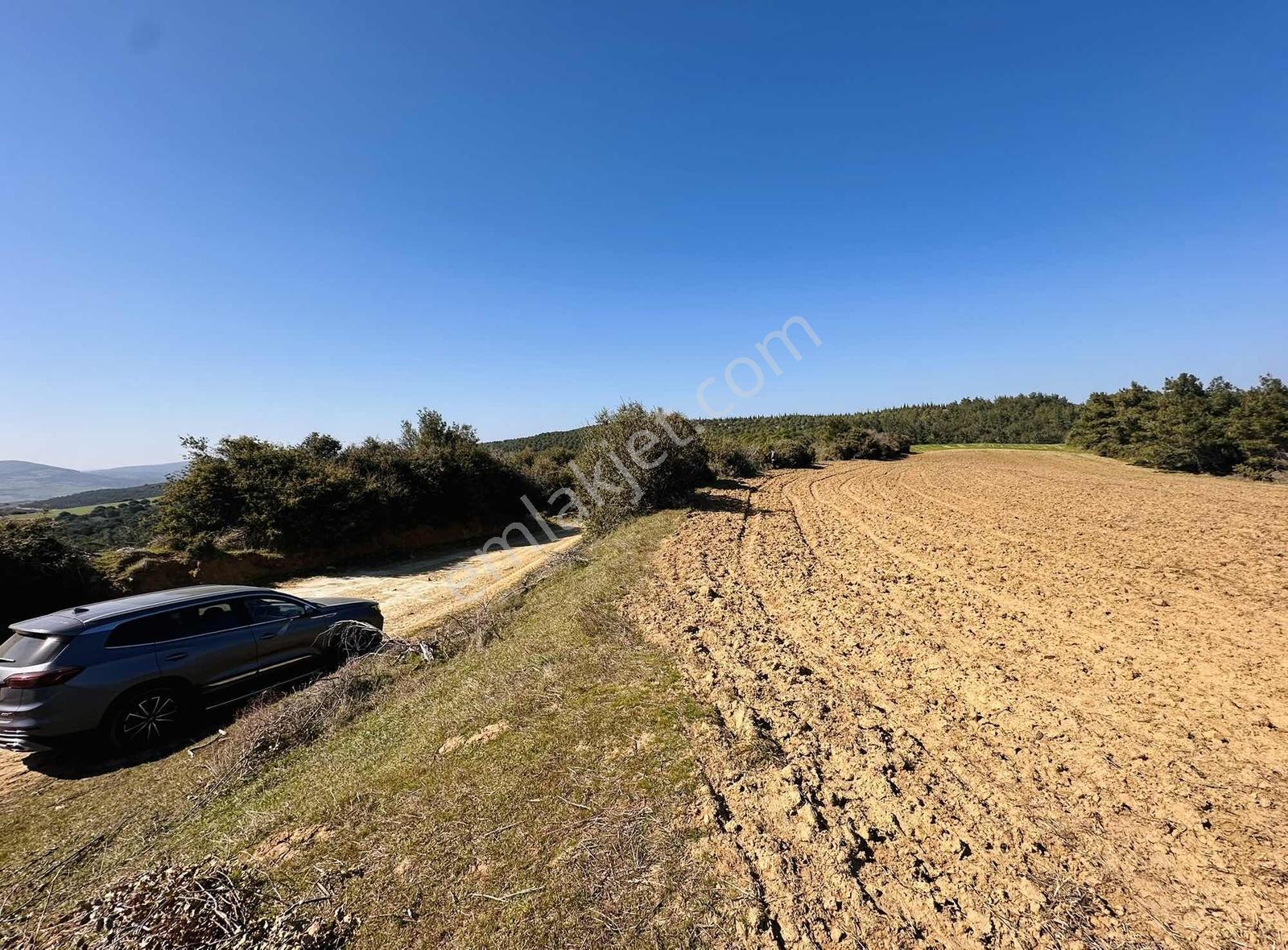 Bayırköyde %5 İmarlı Resmi Yollu Tek Tapu 9952 M2 Satılık Arsa — fotoğraf 15