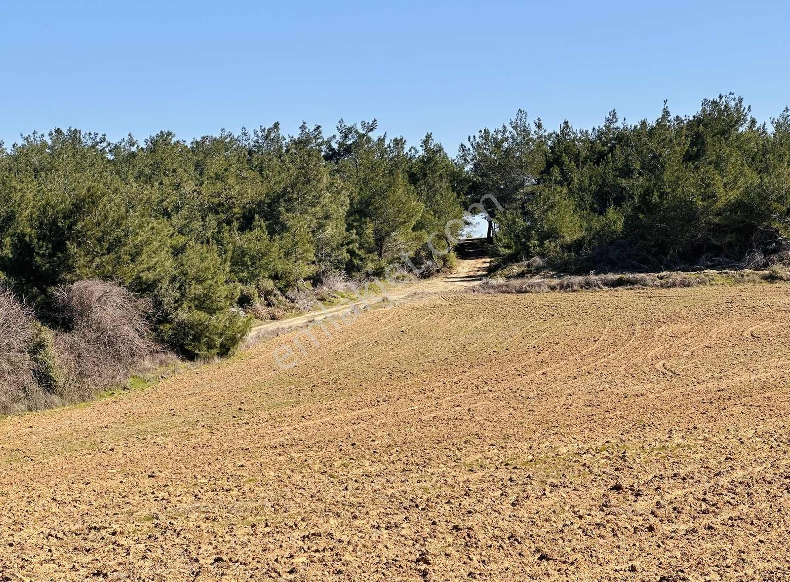 Bayırköyde %5 İmarlı Resmi Yollu Tek Tapu 9952 M2 Satılık Arsa — fotoğraf 17
